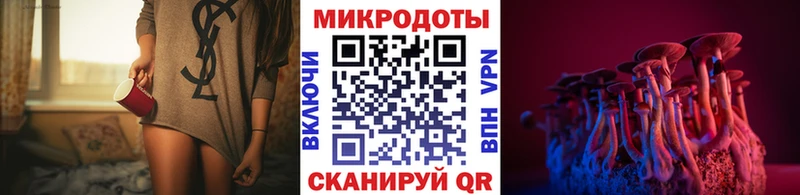 Псилоцибиновые грибы GOLDEN TEACHER  Купить  Калуга 